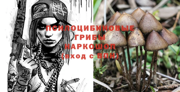 таблы Арсеньев