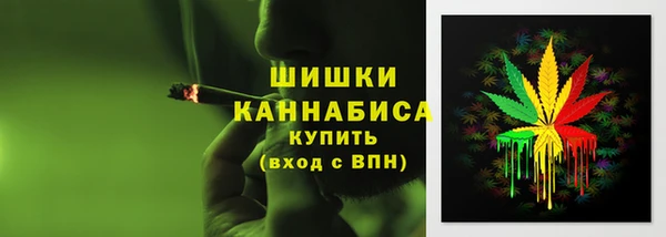 прущие грибы Балахна