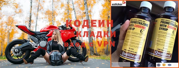 прущие грибы Балахна