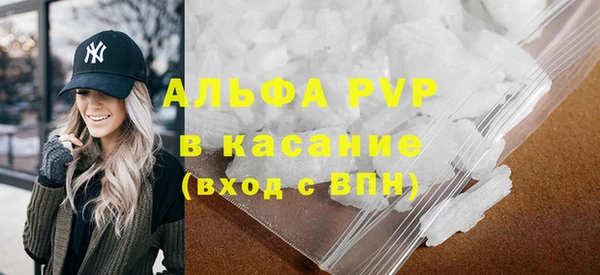 прущие грибы Балахна