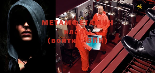 прущие грибы Балахна